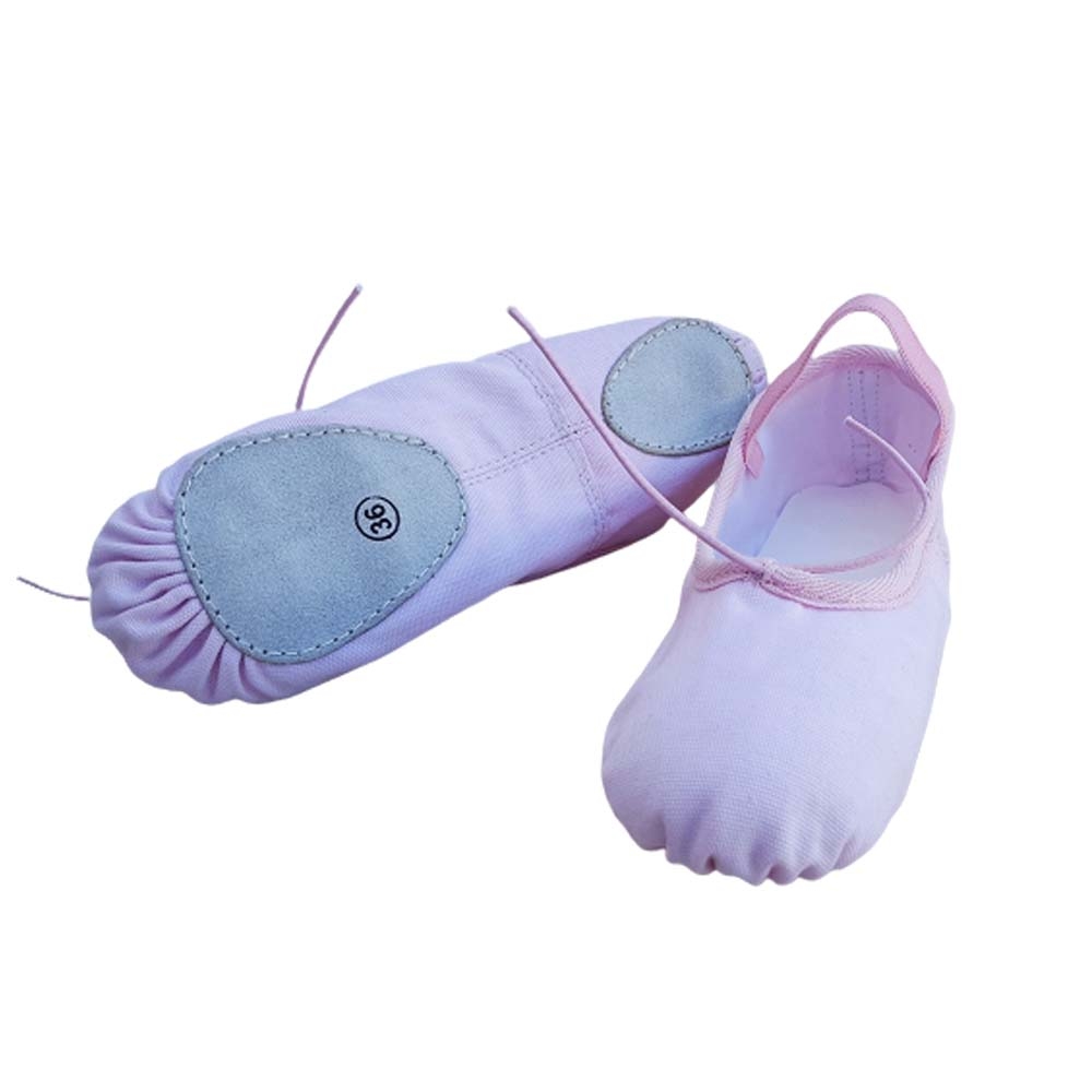 Canvas Ballet Shoes 