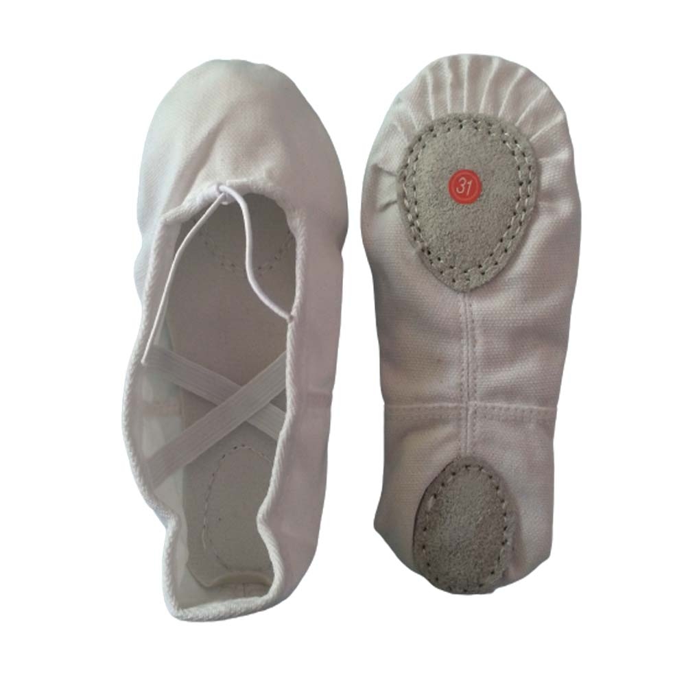 Canvas Ballet Shoes 