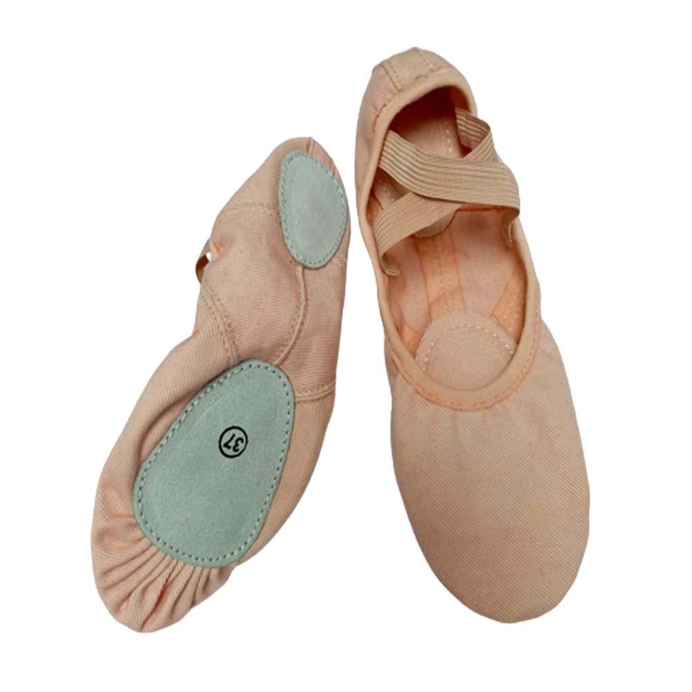Canvas Ballet Shoes 