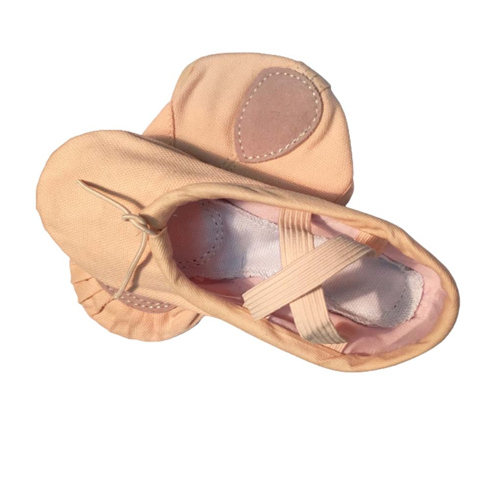 Canvas Ballet Shoes 