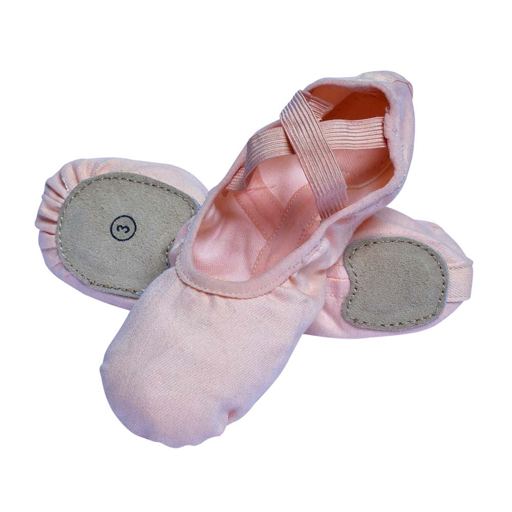 Canvas Ballet Shoes 