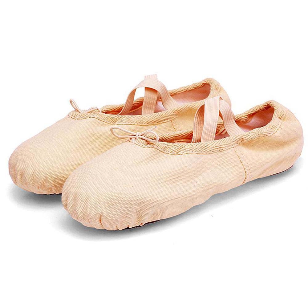Canvas Ballet Shoes 